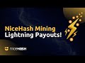 NiceHash Mining Lightning Payouts!