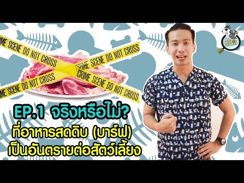 วีดีโอ: วิธีทำให้อาหารสุนัขของคุณสด