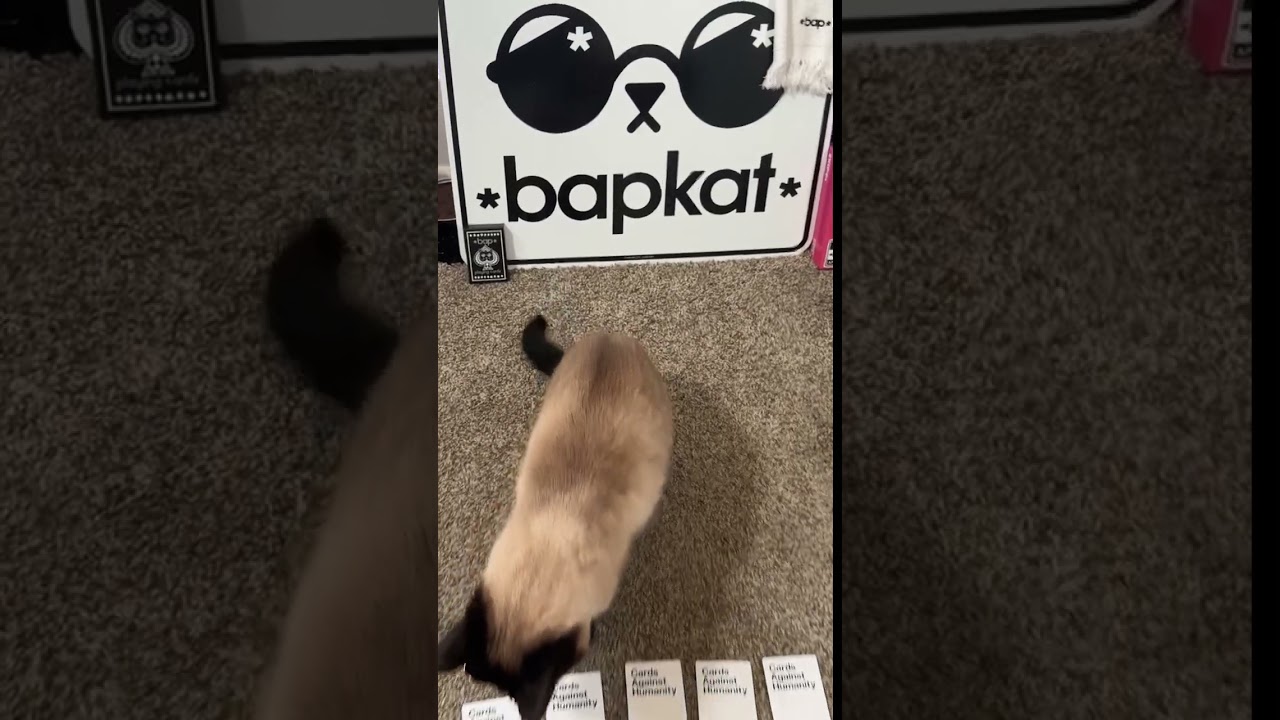 Cards Against Humanity