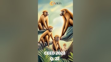 Solved Q 22 of CEED 2023 #ceed24 #uceed2024 #ceedSolution #ceed #designentranceexams #onlineclasses