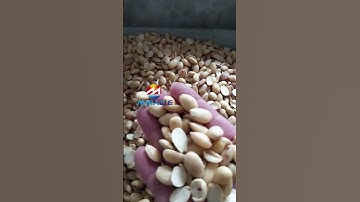 Almond Slicer Machine makes slicing easy! Perfect slices for baking and snacks 🌰#almond #slicer