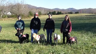Service Dogs of Virginia -