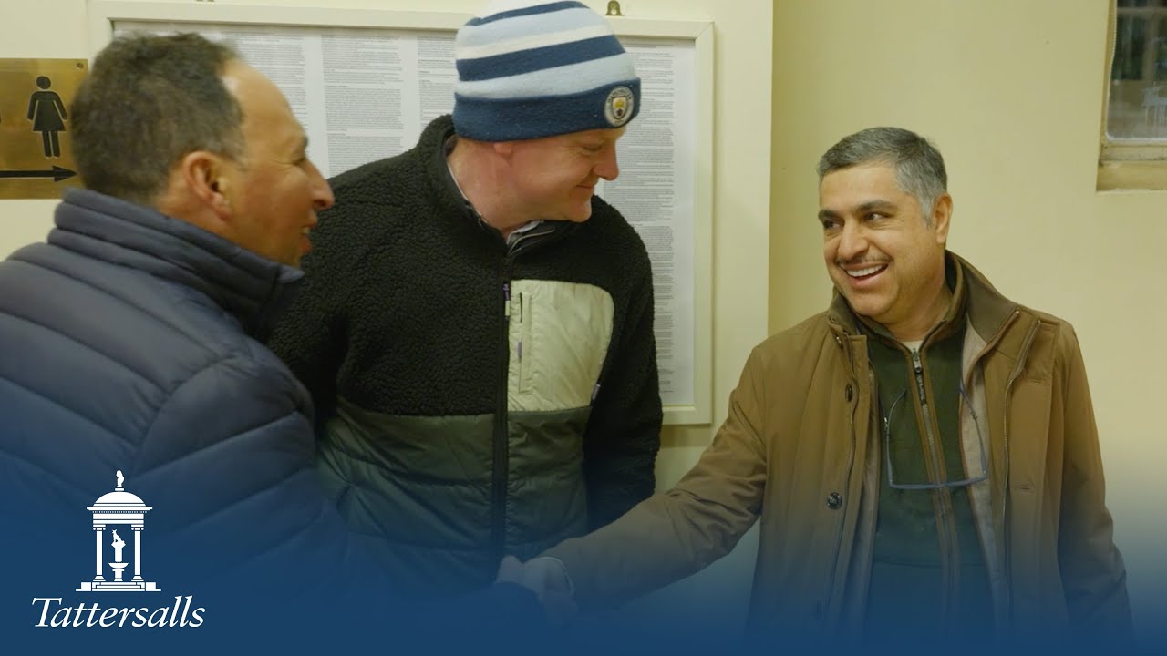 Tattersalls Autumn Horses in Training Sale Day 1 2025 Review