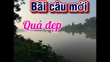 #câucá . Một mình vào bãi câu hoang vắng sông đồng Nai . nghe tiếng động lạ và cái kết 