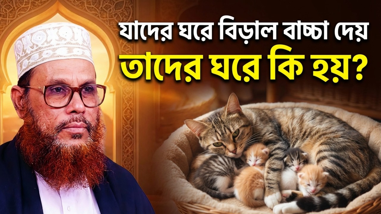 ঘরে বিড়ালের বাচ্চা জন্ম নিলে কি হবে? | আল্লামা দেলাওয়ার হোসাইন সাঈদী | ইসলামিক ব্যাখ্যা