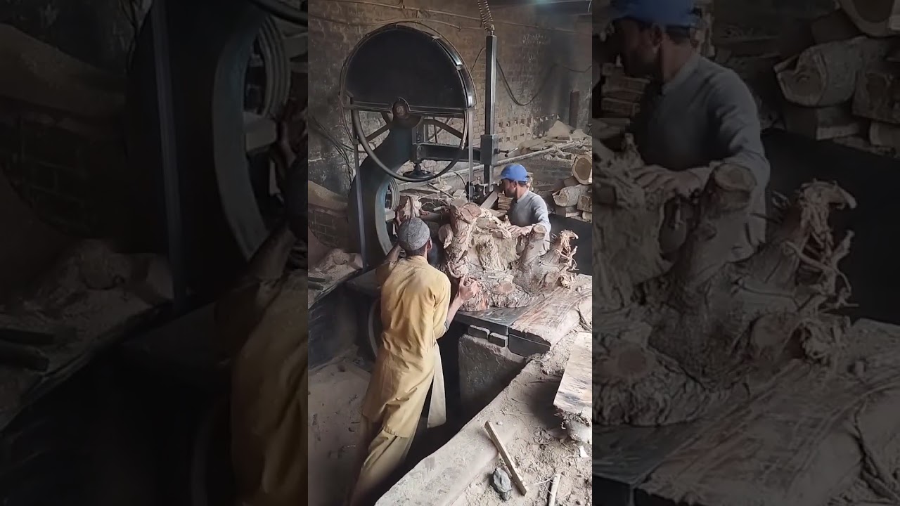 monster root sawmilling 