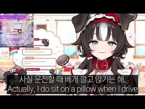 Bibi Sits on a Pillow to See Over the Hood [Bibi Biscuit, Phase-Connect]