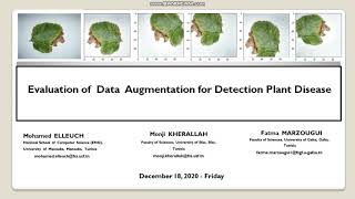 Evaluation of Data Augmentation for Detection PLant Disease