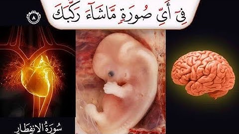 ||سورة الإنفطار Surah Al-Infitar||يوم لا تملك  نفس لنفس شيئا والأمر يومئذ لله||The cleaving/الشاذلي❤
