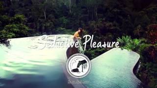 mowe birds flying high mp3 3