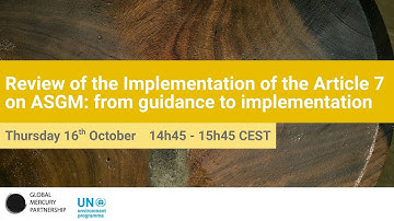 Review of the Implementation of the Article 7 on ASGM: from guidance to implementation