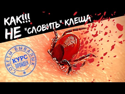 Лучшие средства и защита от клещей! Советы по предохранению и после укусов.