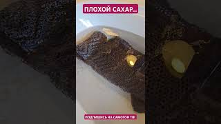 ПЛОХОЙ САХАР... МЕДНАЯ РПН ПОСЛЕ ПЕРЕГОНКИ #самогон #брага #сахар