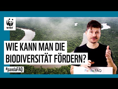 Wie kann man