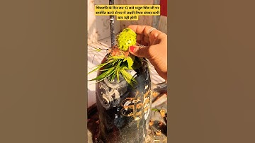 शिवरात्रि के दिन 12बजे धतूरा शिव जी पर समर्पित करने से घर में लक्ष्मी संपदा कभी कम नही होगी #shorts