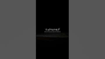 أَلَم يَجِدكَ يَتيمًا فَآوى | محمد صديق المنشاوي | سورة الضحى