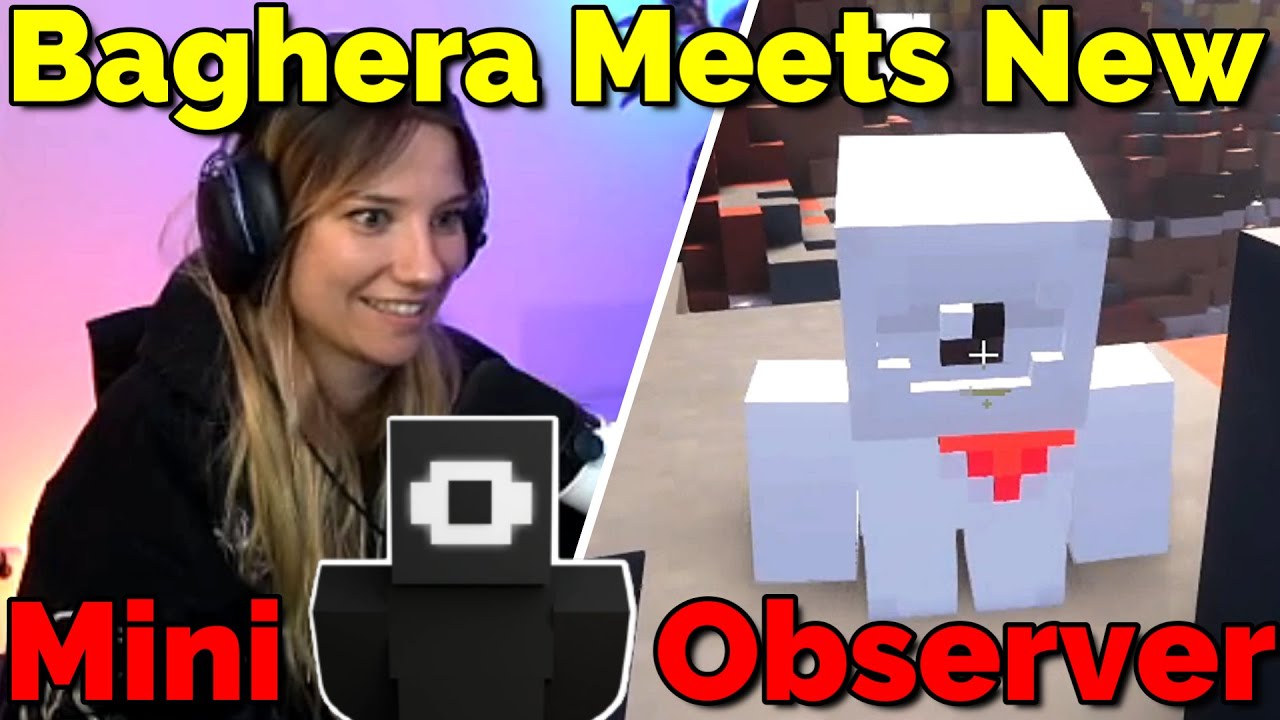 New Mini Observer Meets the Purgatory Residents Baghera's Pov on QSMP Minecraft
