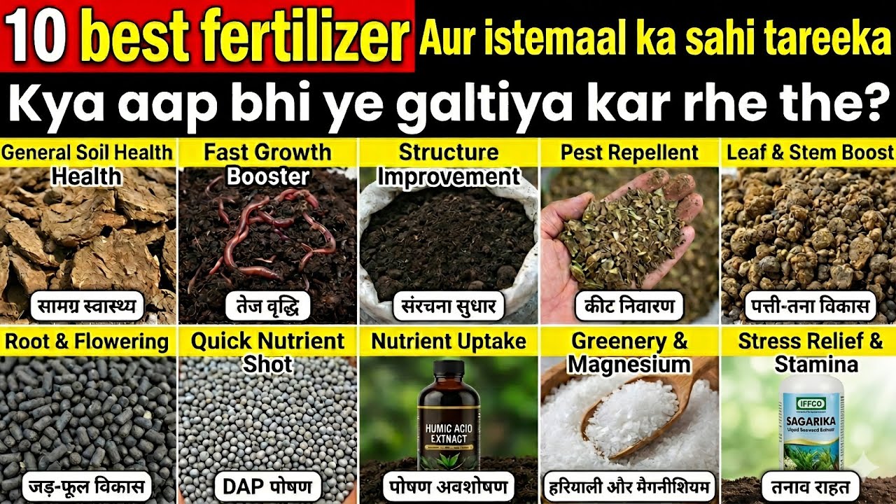 10 Best Fertilizers For All Plants 🤯 | terrace Garden | Complete ...