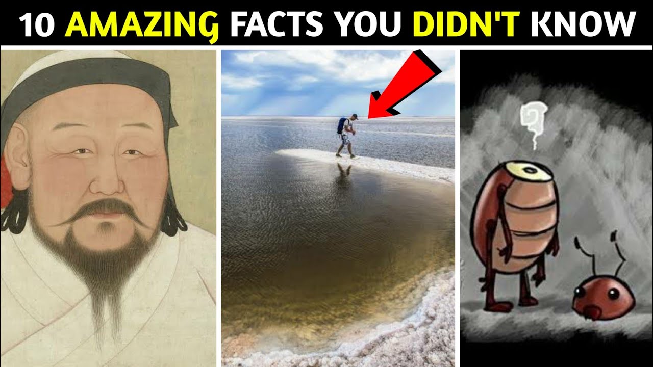 10 amazing facts you didn't know|| 10 रोचक तथ्य जो आप नहीं जानते||रोचक तथ्य||Facts||amazing facts||