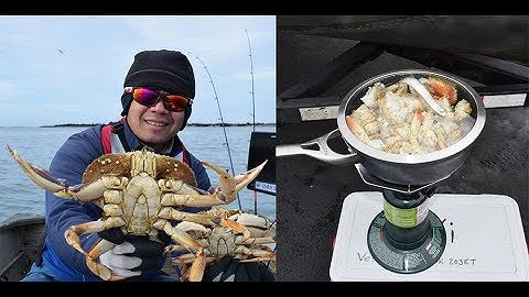 Catch and cook dungeness crab - Oregon coast crabbing