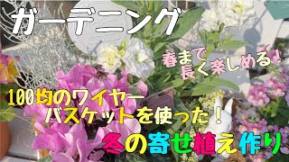 【ガーデニング】100均のワイヤーバスケットを使った！冬の寄せ植え作り【庭DIY】