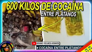 600 Kilos de cocaína entre cargamento de plátanos, Málaga - Aduanas SVA