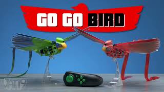 Go Go Birds