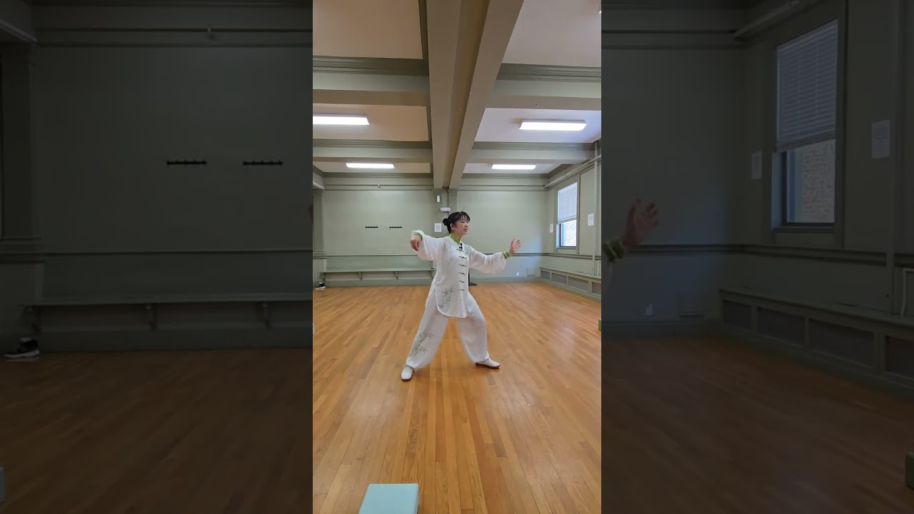 (6) Тайцзицюань стиля Ян, 85 форм