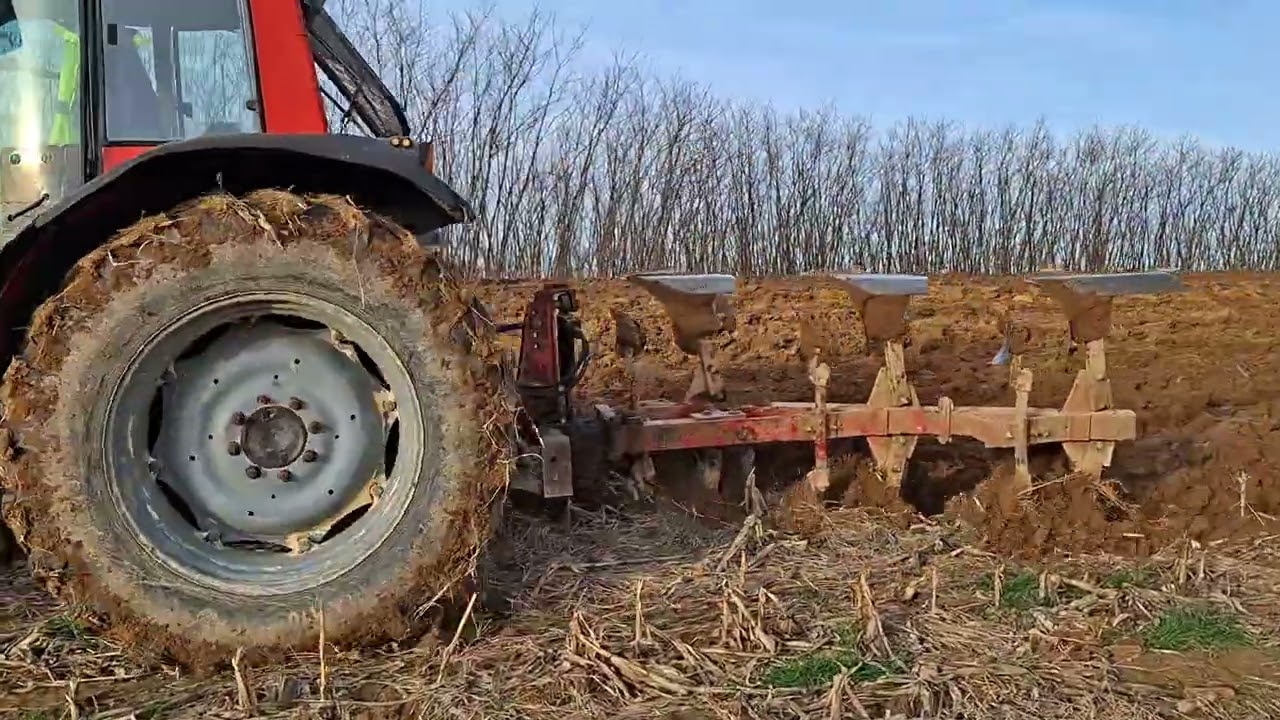 #same #oranje #godland 