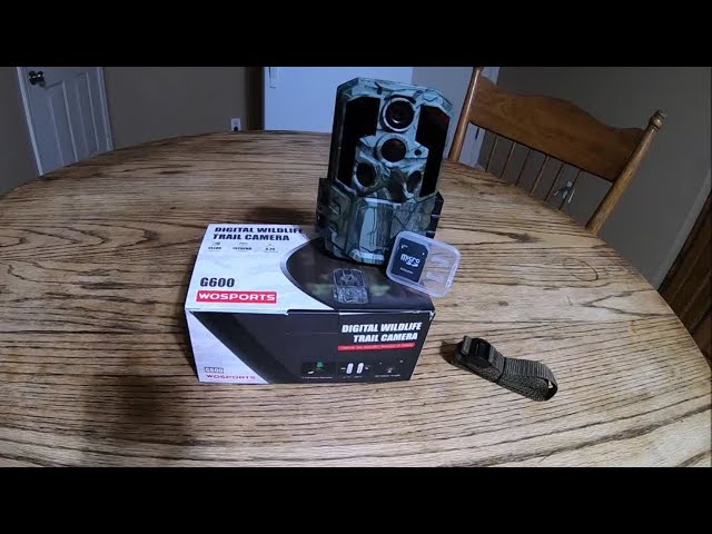 WOSPORTS G600 30MP 1920P TRAIL CAM REVIEW! AMAZON GREAT $50 TRAIL 