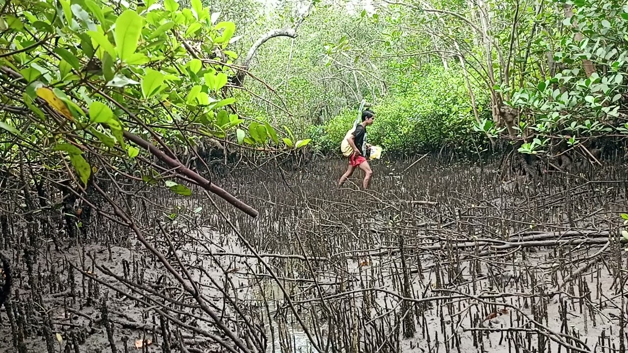 Looking for something to cook and eat, yummy exotic food..👏👌👌🐌🐌