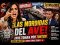 ¡BRUTAL! PEPA MILLÁN DESTAPA LAS MORDIDAS DEL AVE Y EL PSOE COLAPSA 💣 #Sánchez #Vox #IAEspaña #Zasca