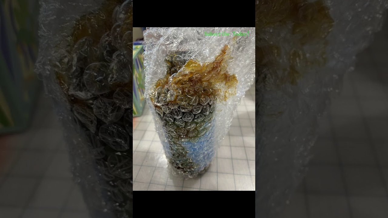 BodyBio Brain Supplement: Phospholipid Complex for Healthy Aging & Nootropics (7 oz)