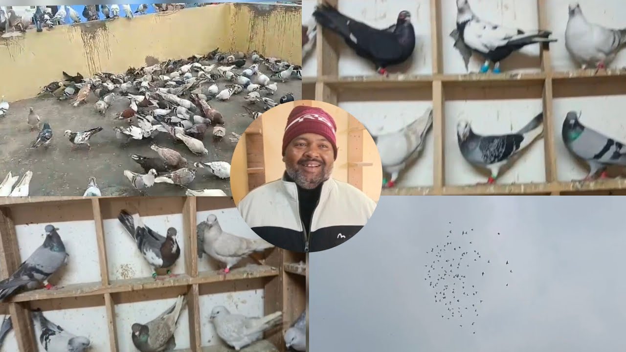 Ustad Kapil talim kalifa Vicky ka shok 🔥❤️