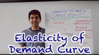 Elasticity of Labour Demand