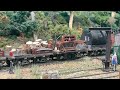 Backwoods Work Train- Clear Lake Timber Company