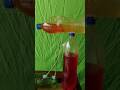 Water Goes Up Without Motor? 3 Bottle Amazing Fountain Experiment
