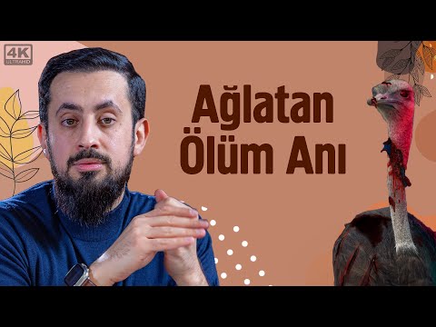 Ağlatan Ölüm Anı - Deve Kuşu | Mehmet Yıldız