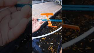 bobo uaghe viral funny shorts