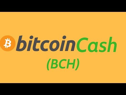 BitcoinCash BCH:Leading Crypto Adoption|Bitcoin Cash Halving 2020