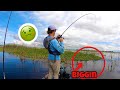 losing a fish in a bass tournament made me sick! (Kayak bass fishing Lake Okeechobee)