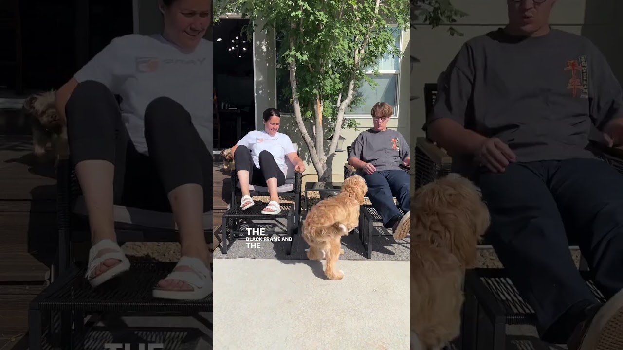 Amazon Outdoor Furniture