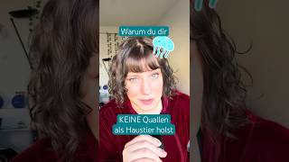 🪼 Was spricht gegen Quallen als Haustier?