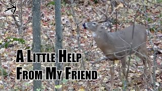 A Little Help From My Friend Wisconsin Archery Season