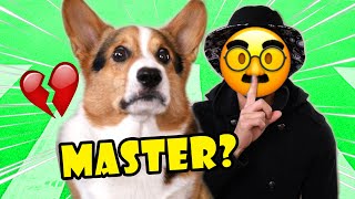 Will CORGI Recognize My Disguise on the Street? || Life After College: Ep. 715