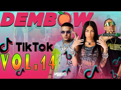DEMBOW TIK TOK VOL.14🔥| DJ NIETO (SUAVE, PA QUE LO BAILES, YO NO OLVIDO, Etel) | Shryne Diamanti 💎