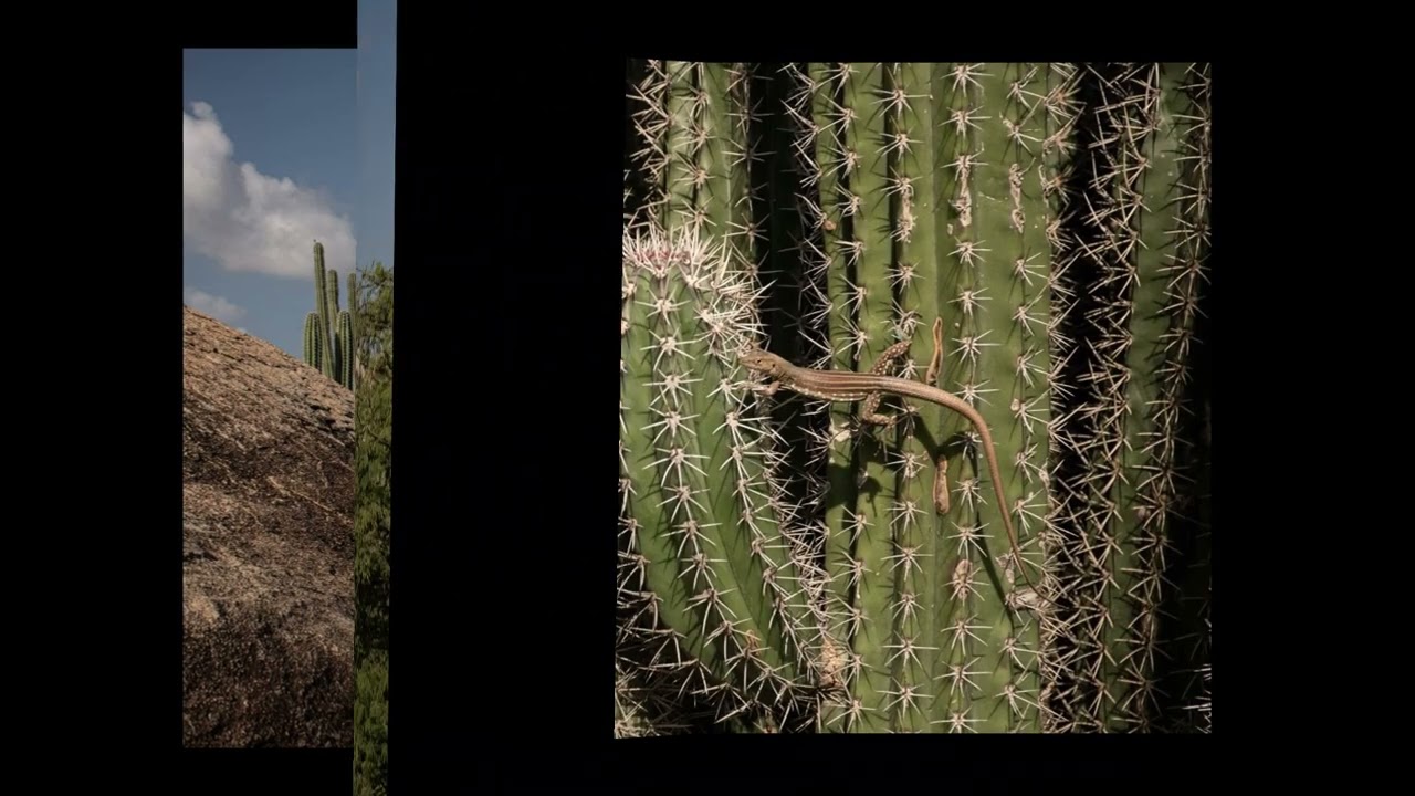 Randy Bullerwell Photography