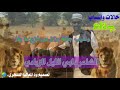 حالات واتس مسدار جقلة الشاعر دابي الليل الزيادي