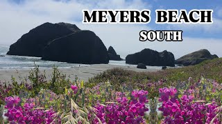 Meyers Beach South, Oregon | Hidden Coastal Gem with Stunning Ocean Views | Oregon Coast 4K