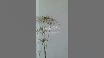 سورة الرعد #قرآن #هزاع_البلوشي #quran #اكسبلور